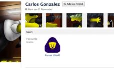 Perfil de Facebook con estilo