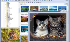 FastStone Image Viewer: Visualizador de imágenes para tu computadora