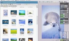 El explorador y administrador de archivos