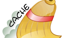 Como borrar el caché DNS en Windows