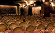 Cómo se hace el vino