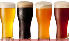 Cómo se hace la cerveza