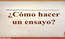 Como se hace un ensayo