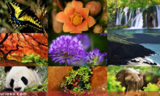 ¿Qué es la biodiversidad?