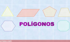 Qué es un polígono