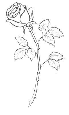 Imágenes de flores dibujadas