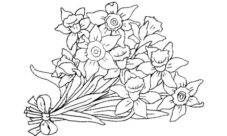 Ramos de flores para dibujar