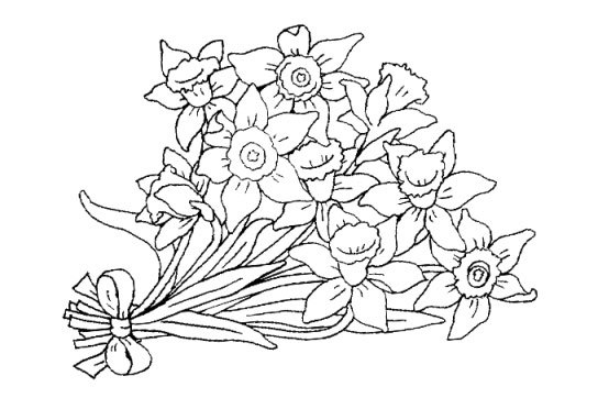 Ramos de flores para dibujar - Blog didáctico