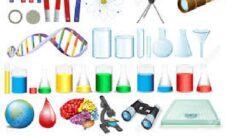 Características de la teoría evolucionista