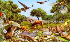 ¿Cómo podemos conservar el medio ambiente?