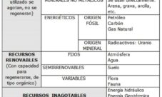 ¿Cómo  se clasifican los recursos naturales?