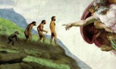 ¿Cómo defender la teoría evolucionista?
