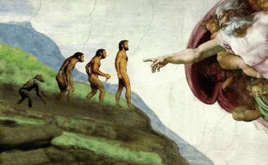 ¿Cómo defender la teoría evolucionista?
