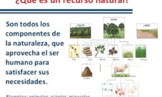 Definición de los recursos naturales