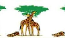 Ejemplos de la teoría evolucionista