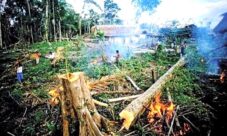 Impacto de las actividades humanas sobre el medio ambiente