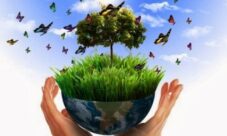 ¿Cuál es la importancia del medio ambiente?