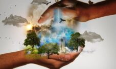 ¿Cómo prevenir el impacto ambiental?