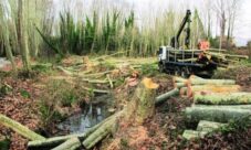 Problemas que afectan el medio ambiente