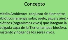 ¿Qué es el medio ambiente? (Resumen)