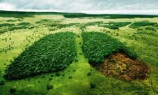 Soluciones para reducir el impacto ambiental