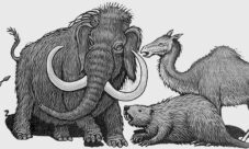 ¿A qué peligros se enfrentan los humanos en la prehistoria?