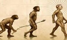 ¿Cuál es la importancia de la prehistoria?