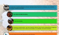 Causas del calentamiento global