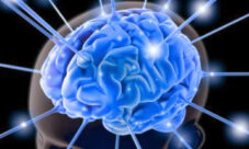 ¿Sabias que el cerebro es un músculo y puedes entrenarlo?