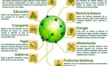 ¿Cómo evitar el calentamiento global?