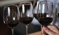 Cómo se hace el vino
