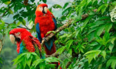 Cuáles son los componentes de la naturaleza