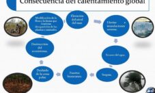 Consecuencias del calentamiento global