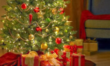 Curiosidades sobre el árbol de navidad