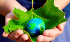 Curiosidades sobre el medio ambiente
