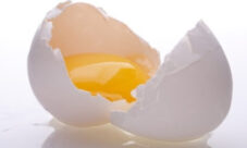 Proteínas del huevo