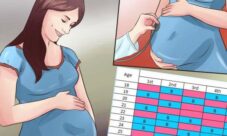 Origen del calendario chino de embarazo