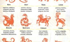 ¿Por qué el calendario chino tiene animales?