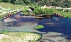 Causas de la contaminación del suelo