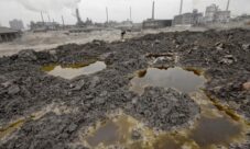 Consecuencias de la contaminación del suelo