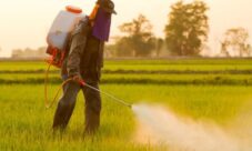 Tipos de contaminación del suelo