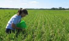 ¿Cómo evitar la contaminación del suelo?