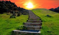 ¿Por qué es importante el sol?