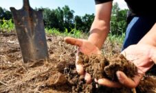 ¿Por qué es importante evitar la contaminación del suelo?