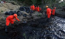 Principales contaminantes del suelo