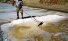 Salinidad del agua del océano atlántico