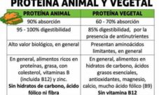 ¿Cuál es la diferencia entre las proteínas animales y vegetales?