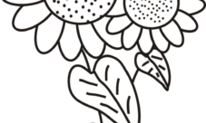 Flores para colorear girasoles