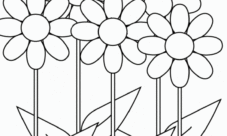 Flores para colorear margaritas