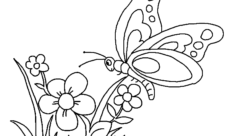 Flores con mariposas para colorear